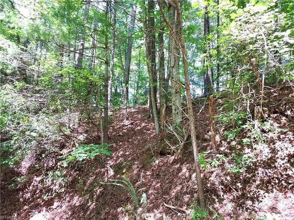 $63,400 | 5354 West Ridge Drive, Ferguson, NC 28624