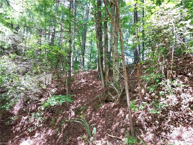 $63,400 | 5354 West Ridge Drive, Ferguson, NC 28624