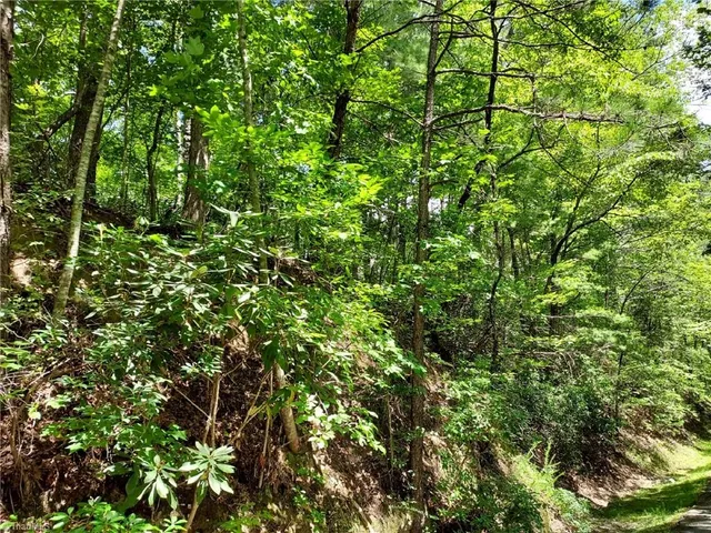 $63,400 | 5354 West Ridge Drive, Ferguson, NC 28624