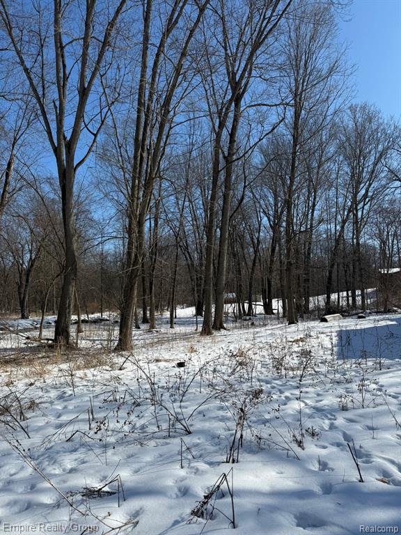 660 East Fitchburg Road Stockbridge, MI 49285 - Photo 11 of 57