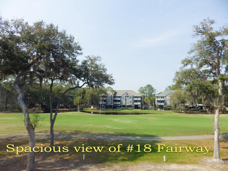 6 Gun Bluff Road Edisto Island, SC 29438 - Photo 27 of 51 26