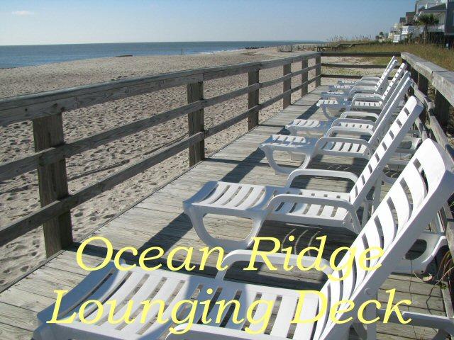 6 Gun Bluff Road Edisto Island, SC 29438 - Photo 36 of 51 cabana lounge