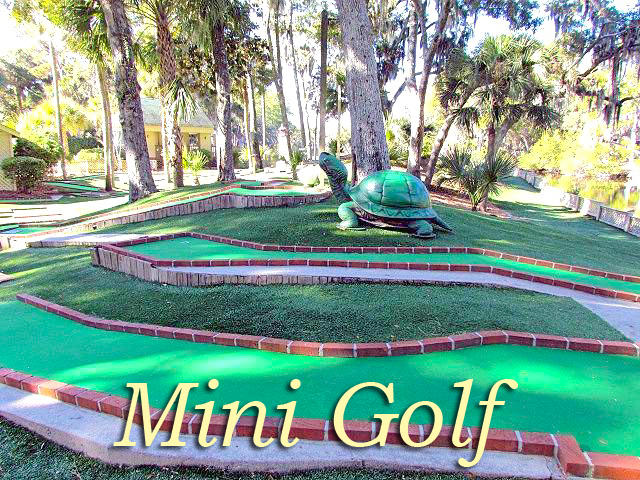 6 Gun Bluff Road Edisto Island, SC 29438 - Photo 41 of 51 mini golf 2