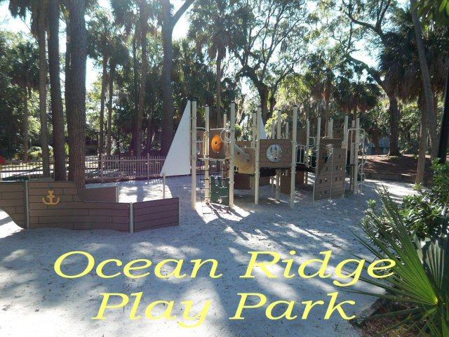 6 Gun Bluff Road Edisto Island, SC 29438 - Photo 42 of 51 new play park
