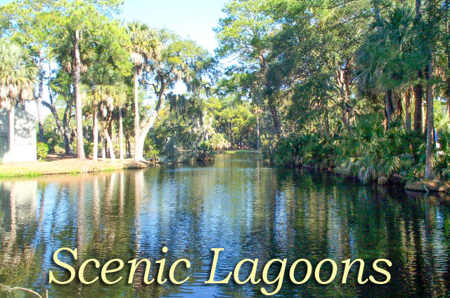 6 Gun Bluff Road Edisto Island, SC 29438 - Photo 45 of 51 scenic lagoons