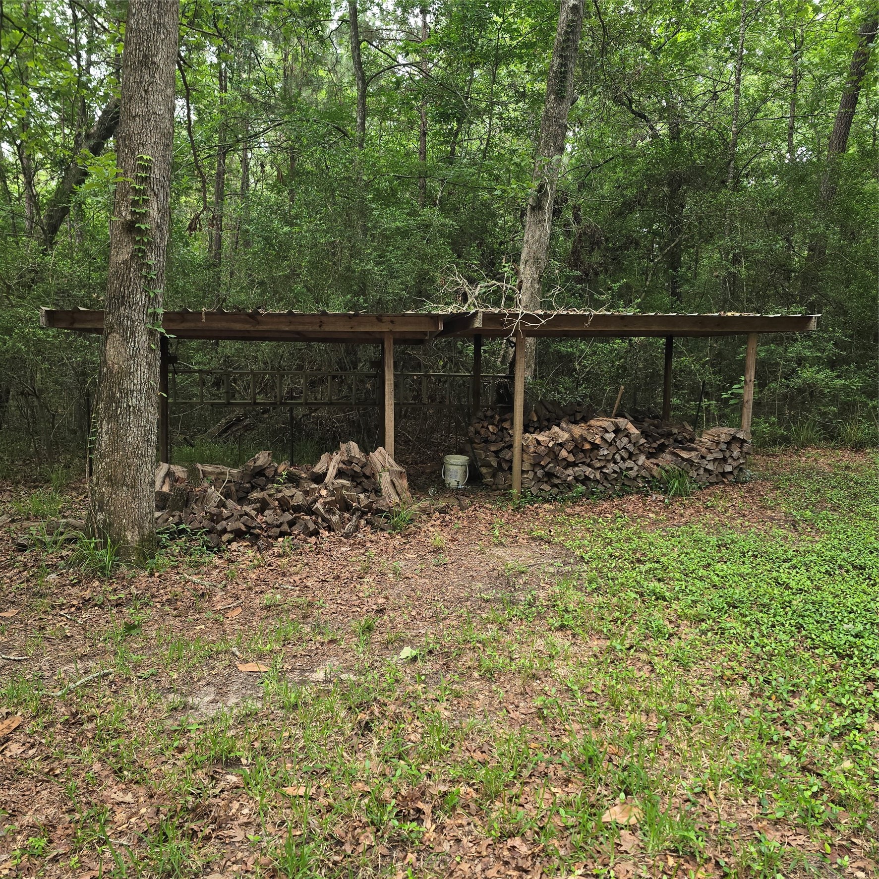 910 Ragsdale Springs Road Shepherd, TX 77371 - Photo 24 of 32