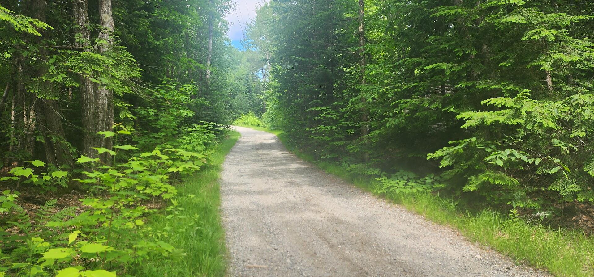 Off Springy Pond Road Eddington, ME 04428 - Photo 13 of 25 20240613_102112