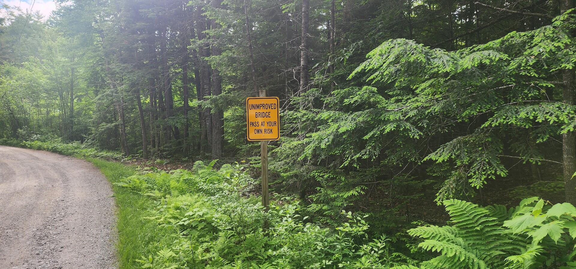 Off Springy Pond Road Eddington, ME 04428 - Photo 14 of 25 20240613_102118