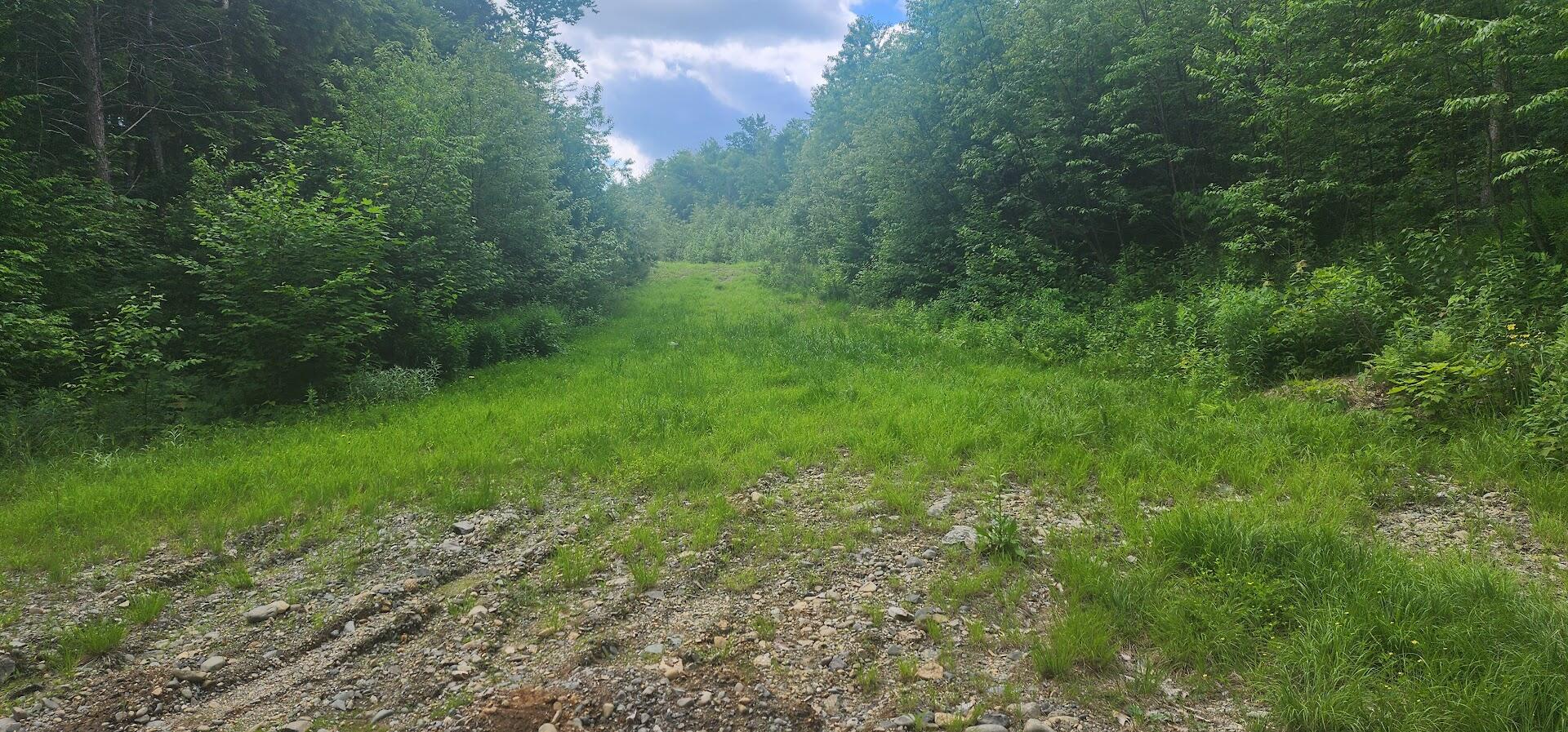 Off Springy Pond Road Eddington, ME 04428 - Photo 15 of 25 20240613_102152