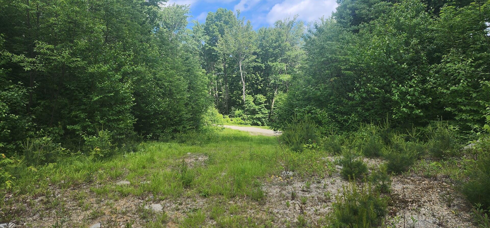 Off Springy Pond Road Eddington, ME 04428 - Photo 16 of 25 20240613_102501