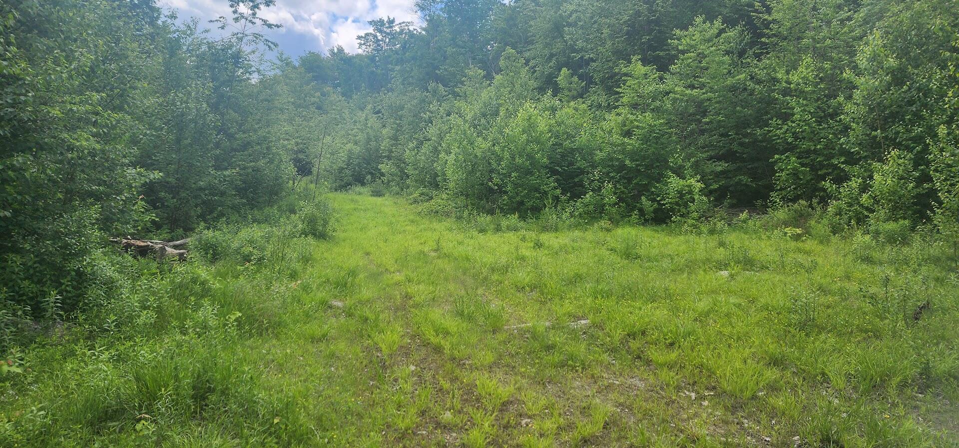 Off Springy Pond Road Eddington, ME 04428 - Photo 17 of 25 20240613_102506