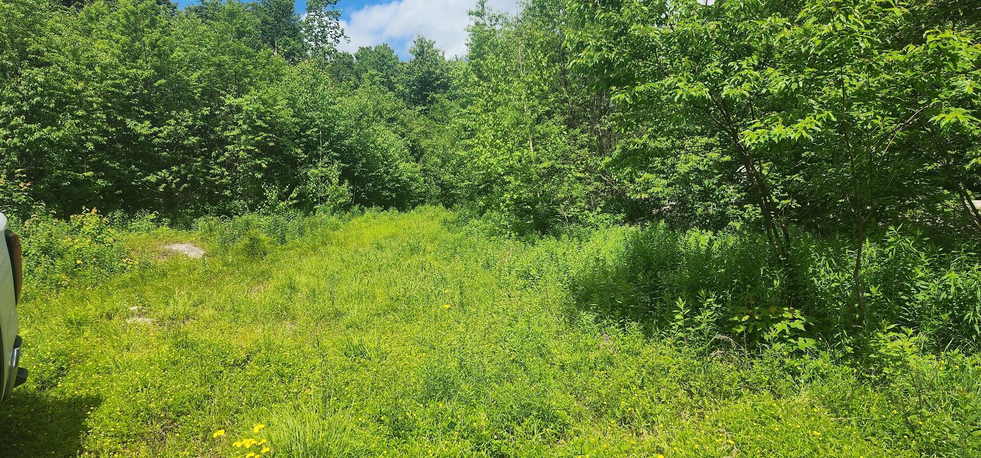 Off Springy Pond Road Eddington, ME 04428 - Photo 19 of 25 20240613_102609