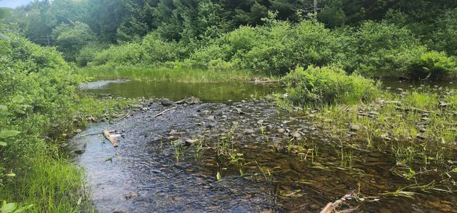 $399,000 | Off Springy Pond Road, Eddington, ME 04428