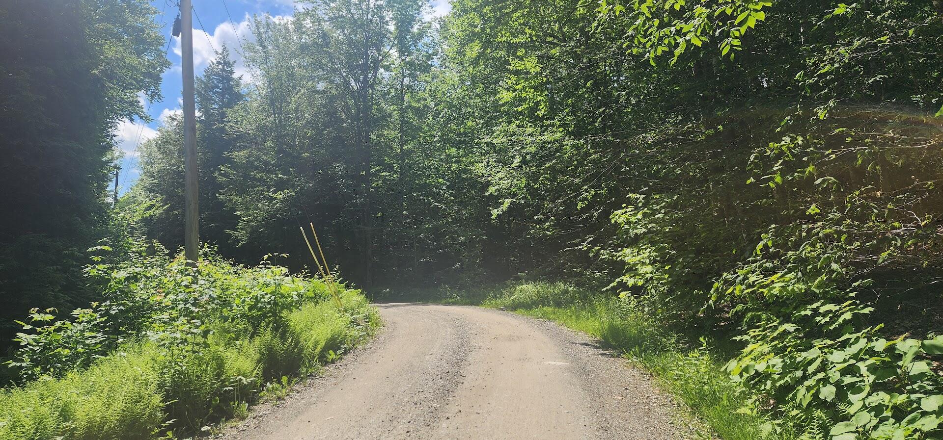 Off Springy Pond Road Eddington, ME 04428 - Photo 24 of 25 20240613_103531