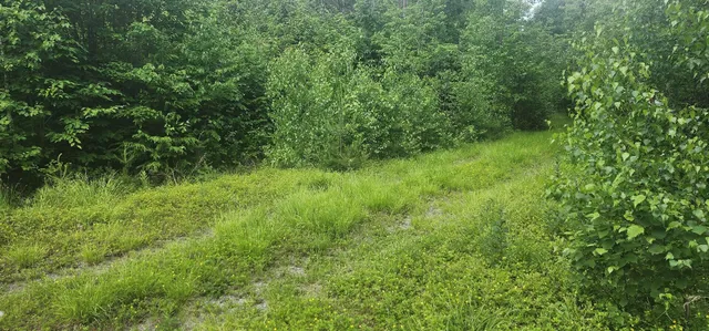 $399,000 | Off Springy Pond Road, Eddington, ME 04428