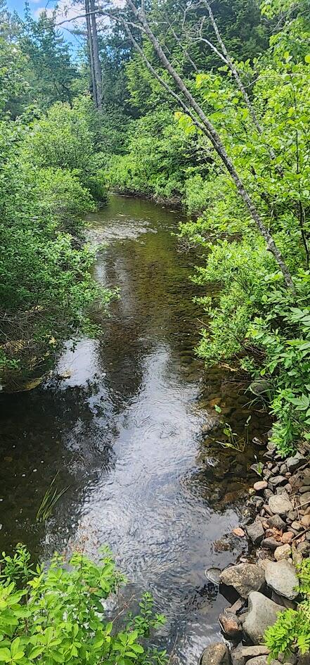 Off Springy Pond Road Eddington, ME 04428 - Photo 5 of 25 20240613_101951
