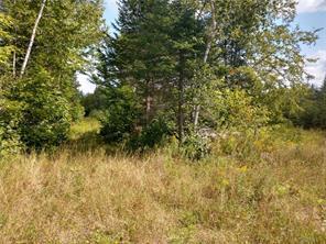 Off Springy Pond Road Eddington, ME 04428 - Photo 6 of 25 3