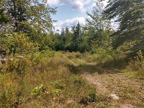 Off Springy Pond Road Eddington, ME 04428 - Photo 8 of 25 5