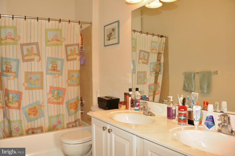 7230 Rita Gray Loop Alexandria, VA 22315 - Photo 1 of 30 Upper Level Bath