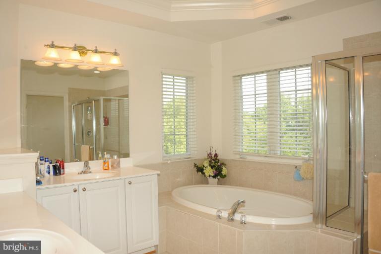 7230 Rita Gray Loop Alexandria, VA 22315 - Photo 12 of 30 Bath (Master)