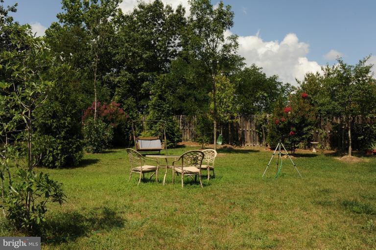 7230 Rita Gray Loop Alexandria, VA 22315 - Photo 18 of 30 Backyard