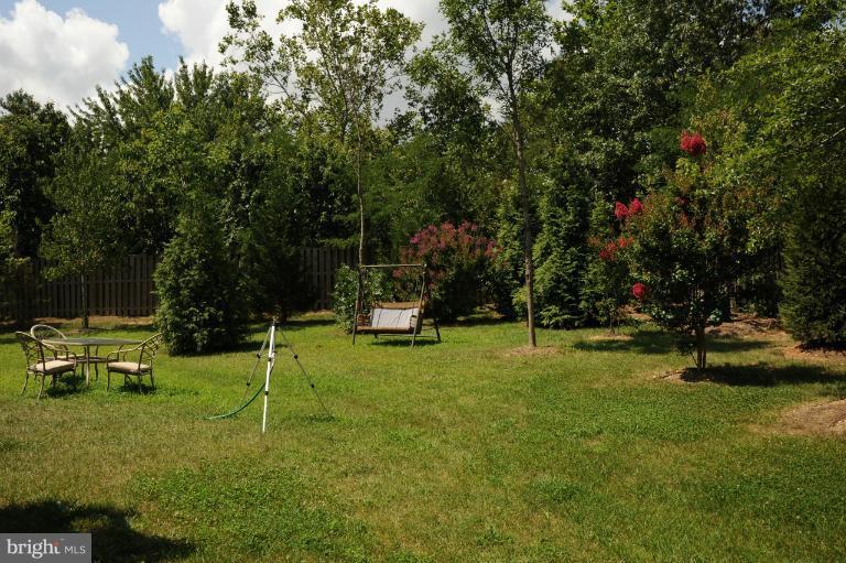 7230 Rita Gray Loop Alexandria, VA 22315 - Photo 20 of 30 Backyard