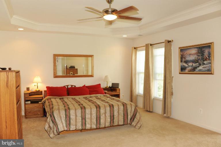 7230 Rita Gray Loop Alexandria, VA 22315 - Photo 27 of 30 Bedroom (Master)