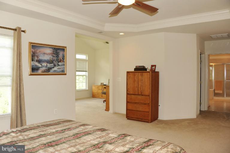 7230 Rita Gray Loop Alexandria, VA 22315 - Photo 29 of 30 Bedroom (Master)