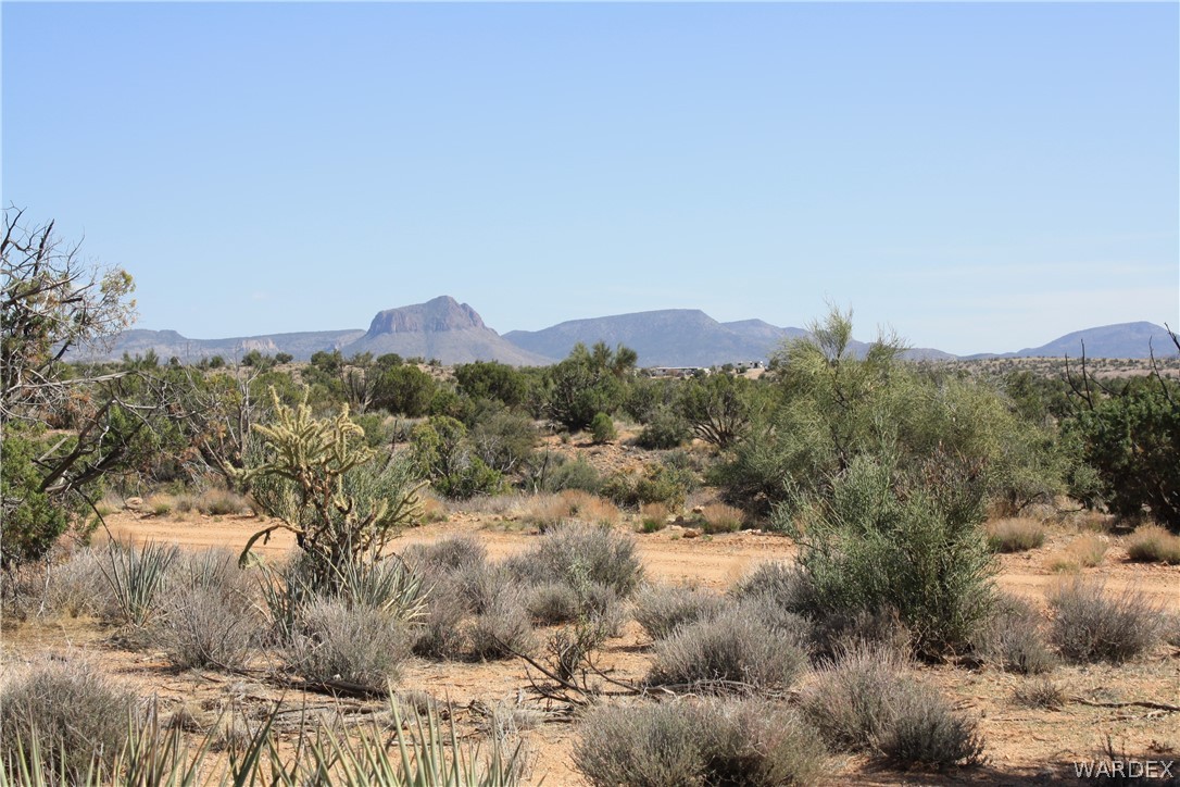 0 East Randy Ranch Road Kingman, AZ 86401 - Photo 13 of 14