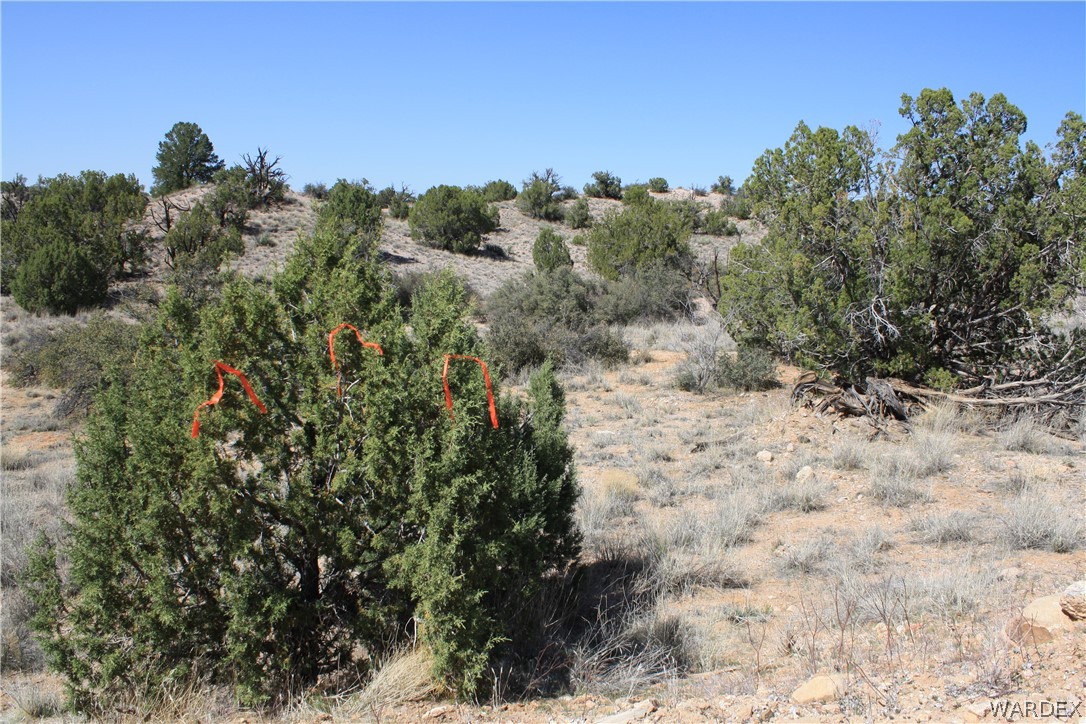 0 East Randy Ranch Road Kingman, AZ 86401 - Photo 14 of 14