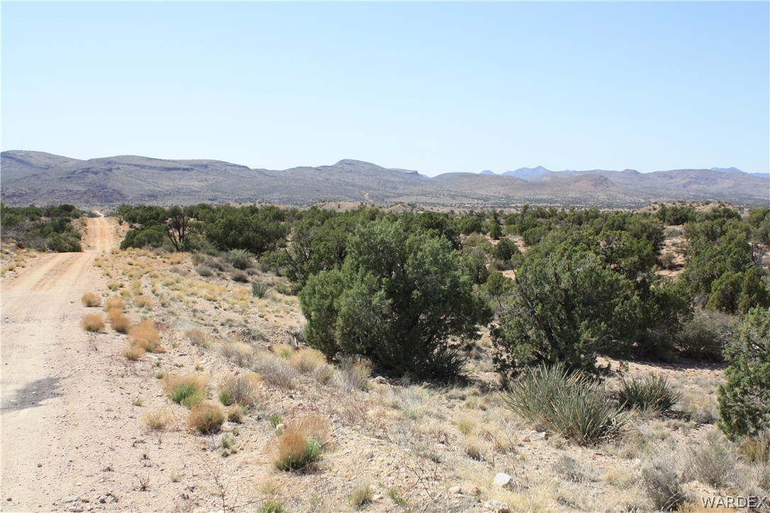0 East Randy Ranch Road Kingman, AZ 86401 - Photo 2 of 14