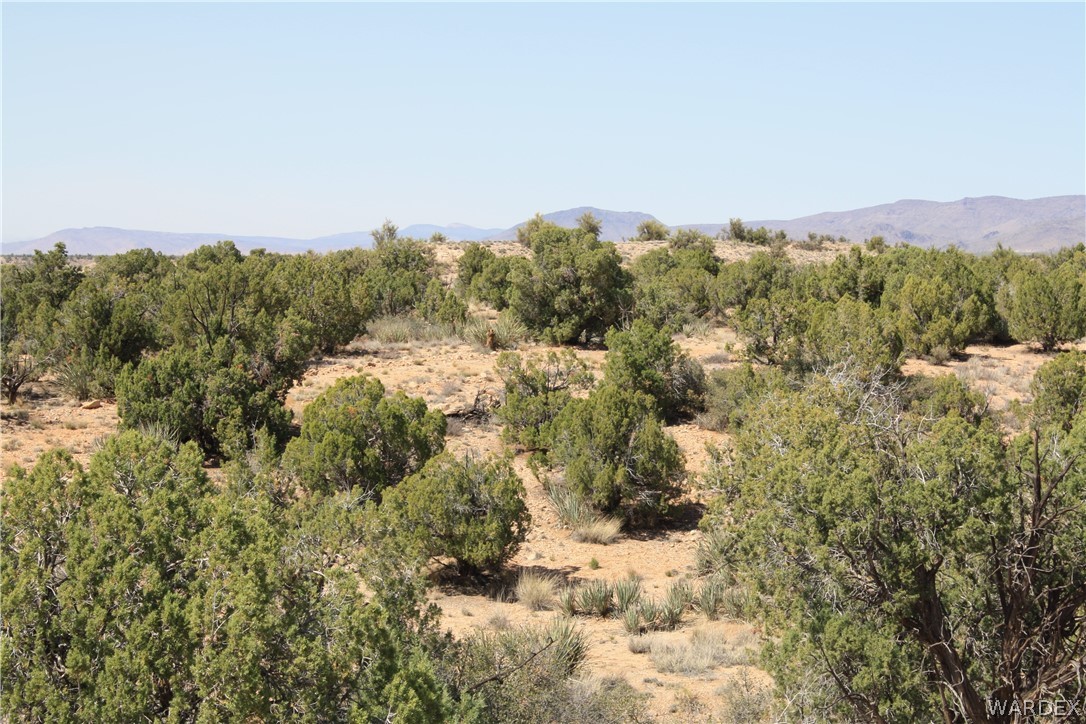0 East Randy Ranch Road Kingman, AZ 86401 - Photo 3 of 14