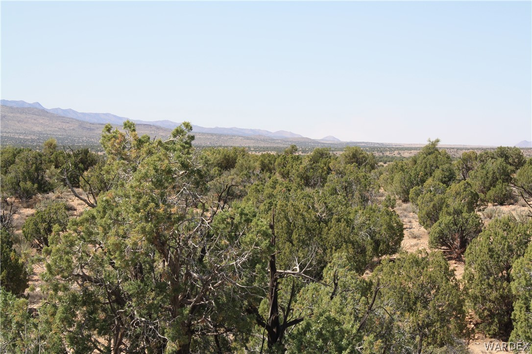 0 East Randy Ranch Road Kingman, AZ 86401 - Photo 4 of 14