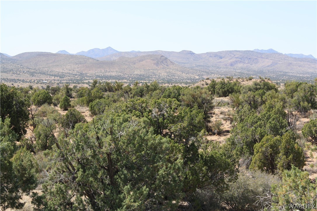 0 East Randy Ranch Road Kingman, AZ 86401 - Photo 5 of 14