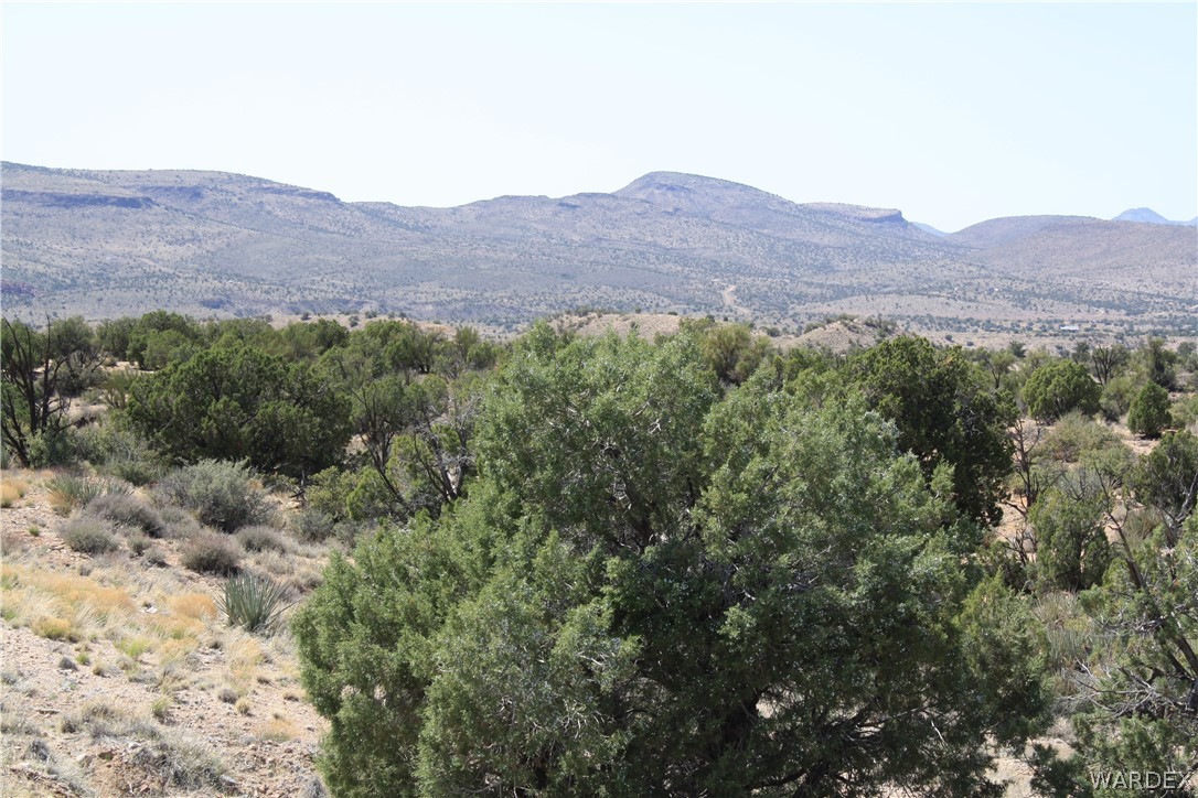 0 East Randy Ranch Road Kingman, AZ 86401 - Photo 6 of 14
