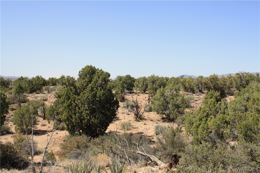 0 East Randy Ranch Road Kingman, AZ 86401 - Photo 8 of 14