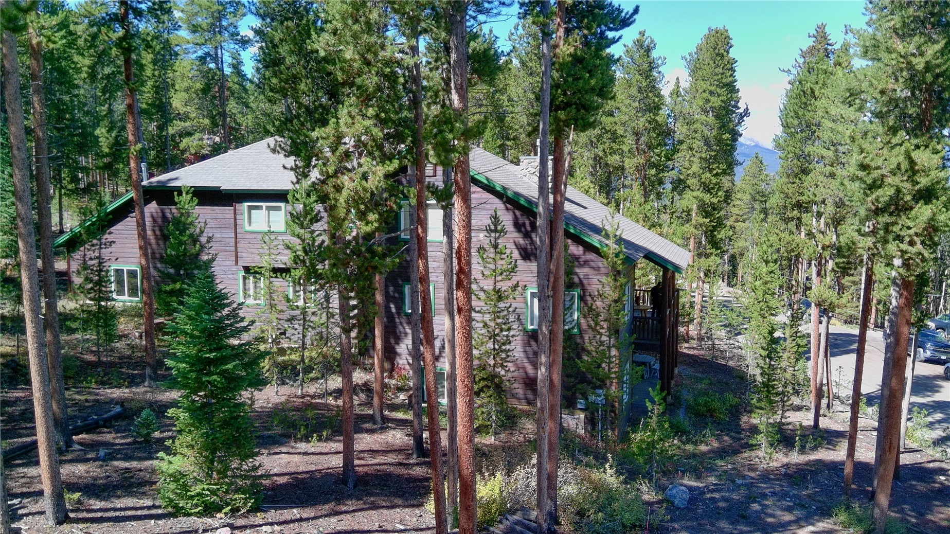 696 Moonstone Road Breckenridge, CO 80424 - Photo 31 of 34 a house view with a backyard and trees