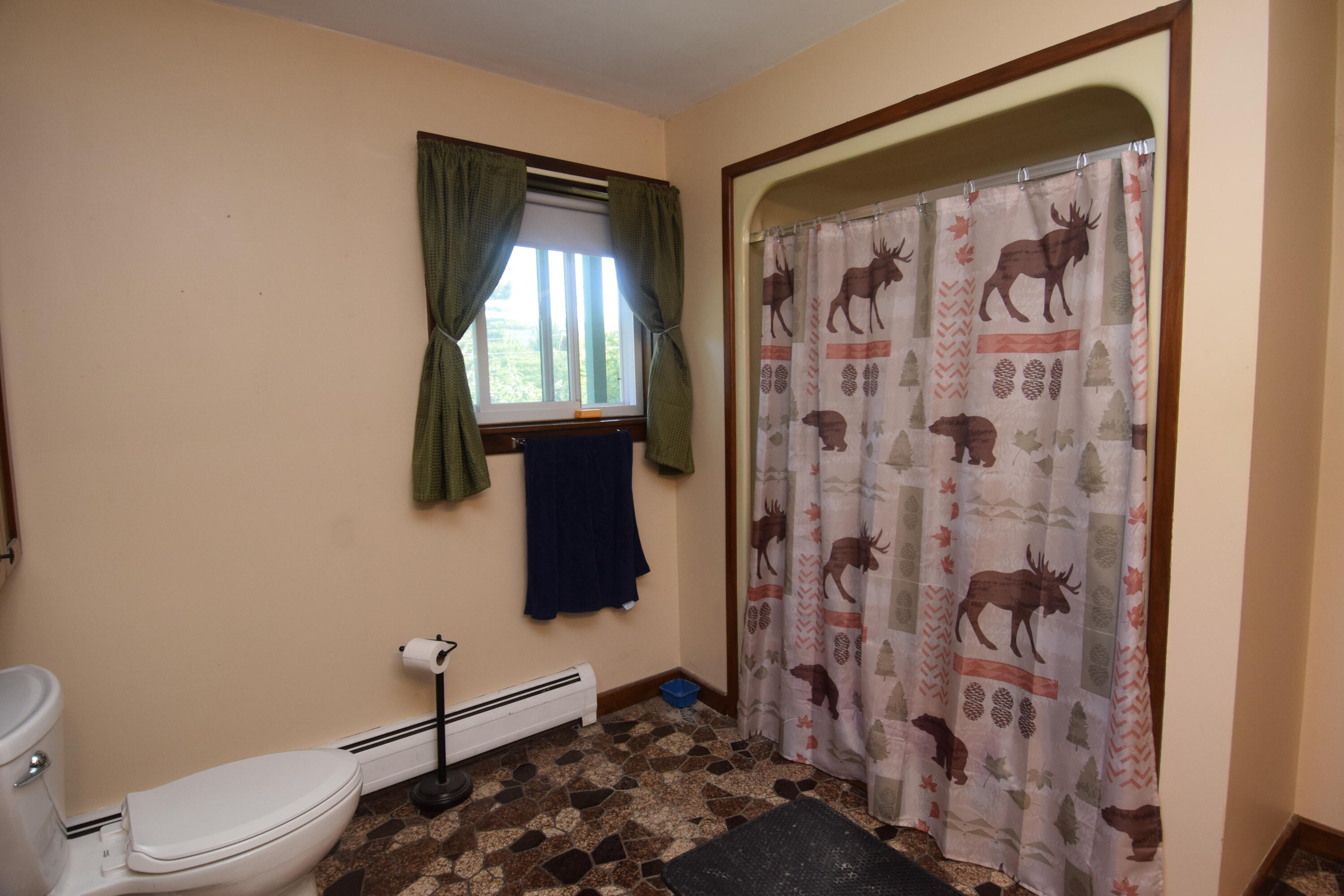 71 Birch Road New Portland, ME 04961 - Photo 21 of 100 First Floor Bath