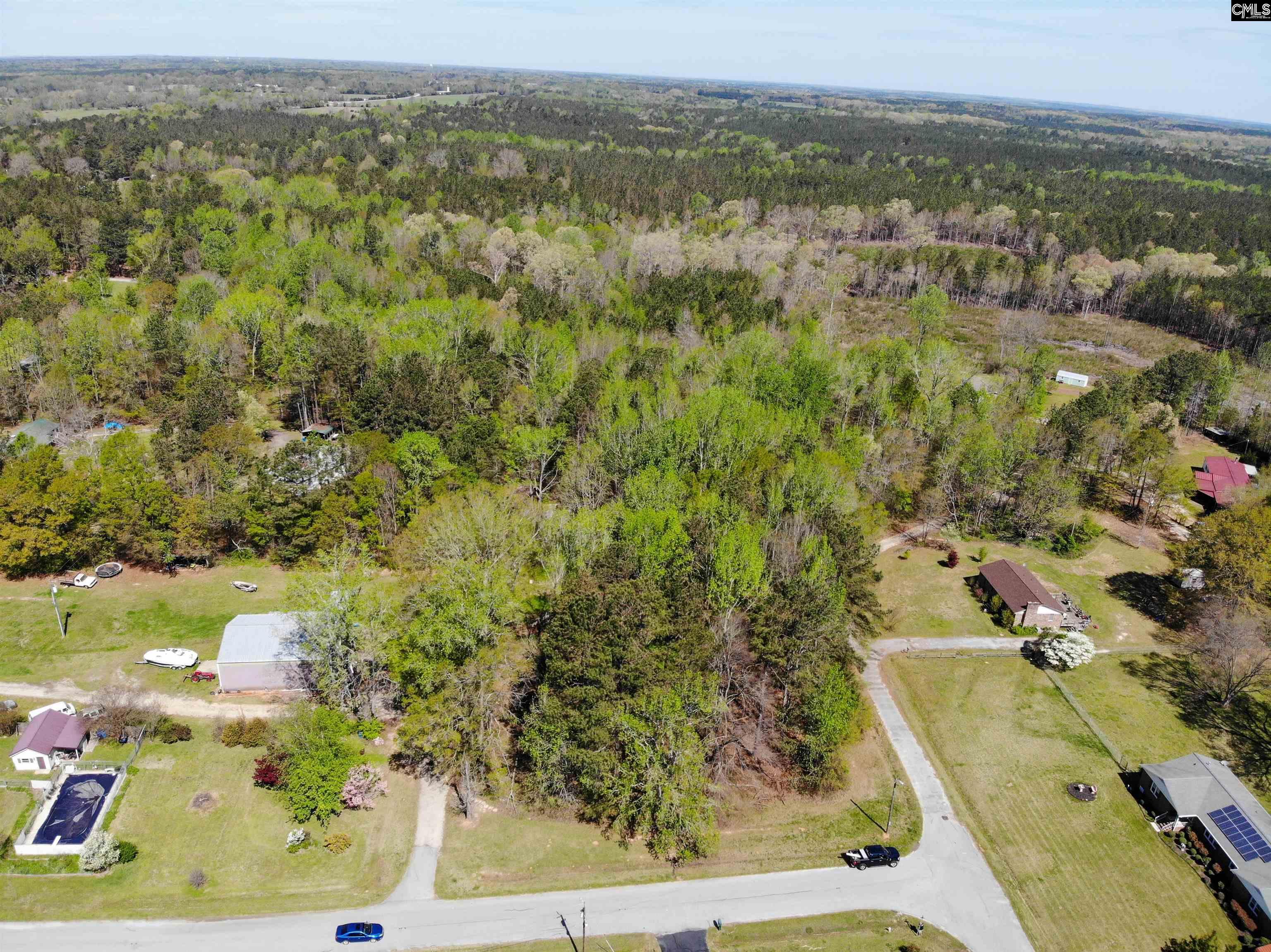 Tbd James Road Joanna, SC 29351 - Photo 36 of 82
