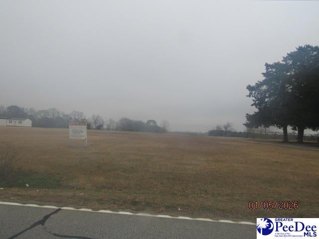 Sinclair Road Dillon, SC 29536 - Photo 2 of 2 Gallery Image 2