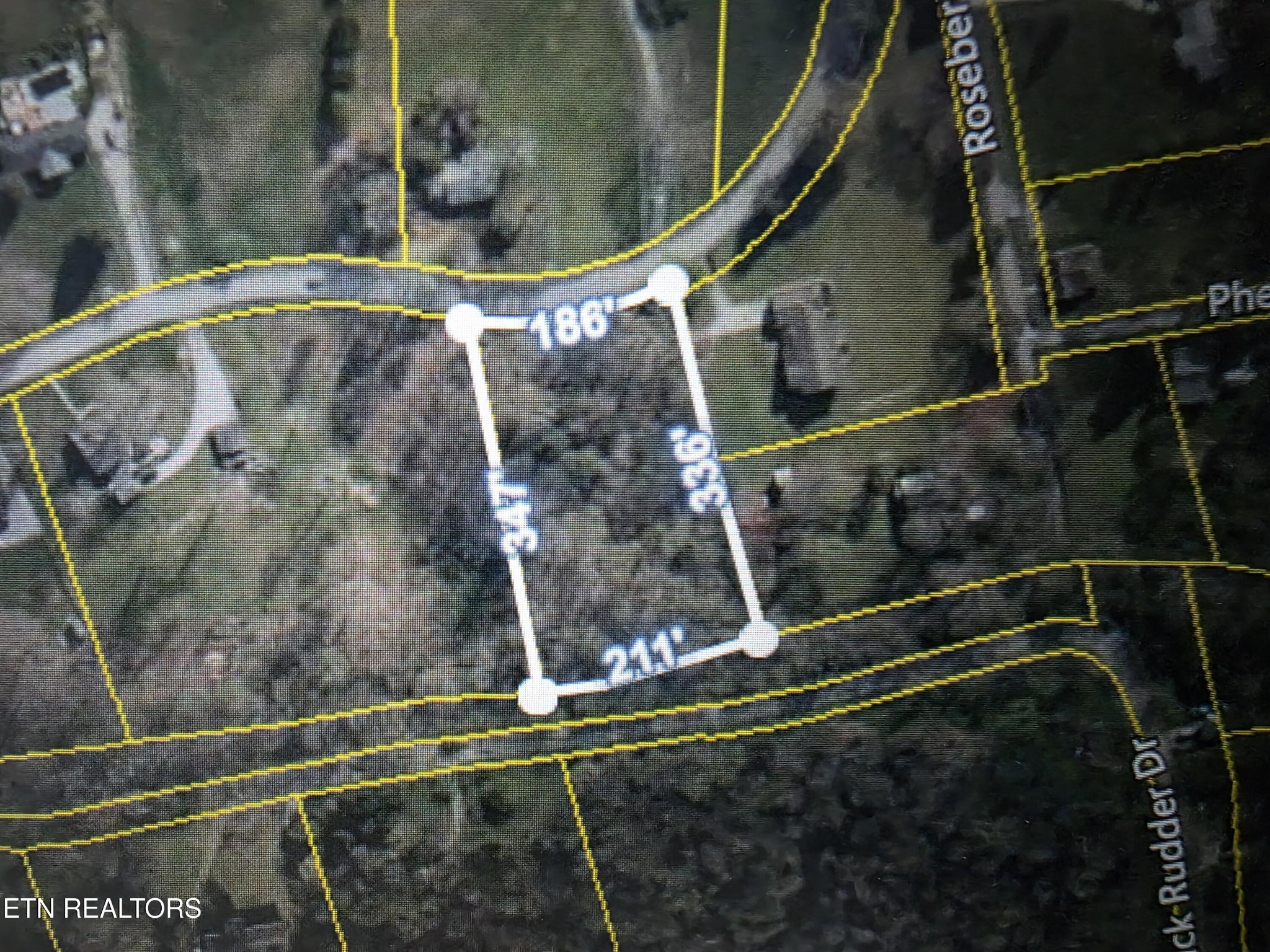 2310 Roseberry Road Mascot, TN 37806 - Photo 5 of 6 Gallery Image 5
