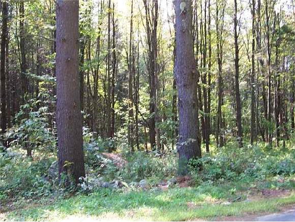 Lot 8 Follett Road Center Harbor, NH 03226 - Photo 1 of 3 Gallery Image 1
