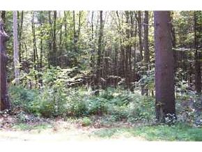 Lot 8 Follett Road Center Harbor, NH 03226 - Photo 2 of 3 Gallery Image 2