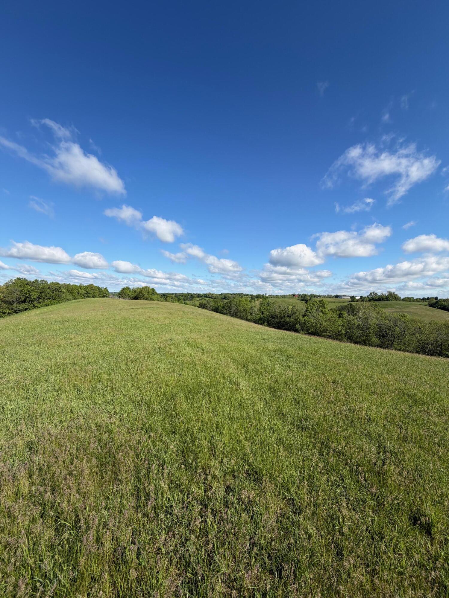 32.28-ac Chipman Ridge Road Williamstown, KY 41097 - Photo 4 of 13
