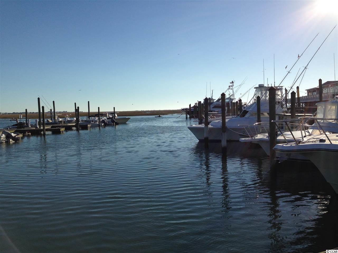 37 Saltwind Loop Murrells Inlet, SC 29576 - Photo 24 of 25 Gallery Image 24