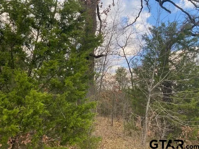 a backyard of a building