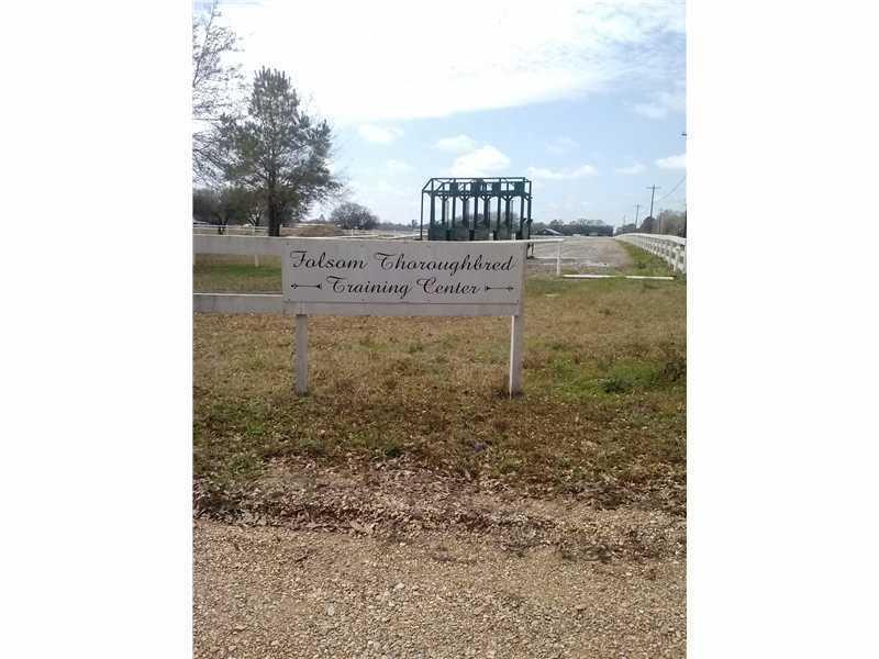 0 Training Center Road Folsom, LA 70437 - Photo 1 of 6 Gallery Image 1