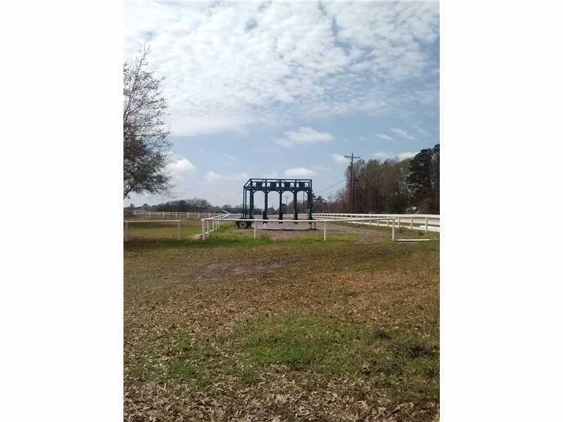 0 Training Center Road Folsom, LA 70437 - Photo 6 of 6 Gallery Image 6