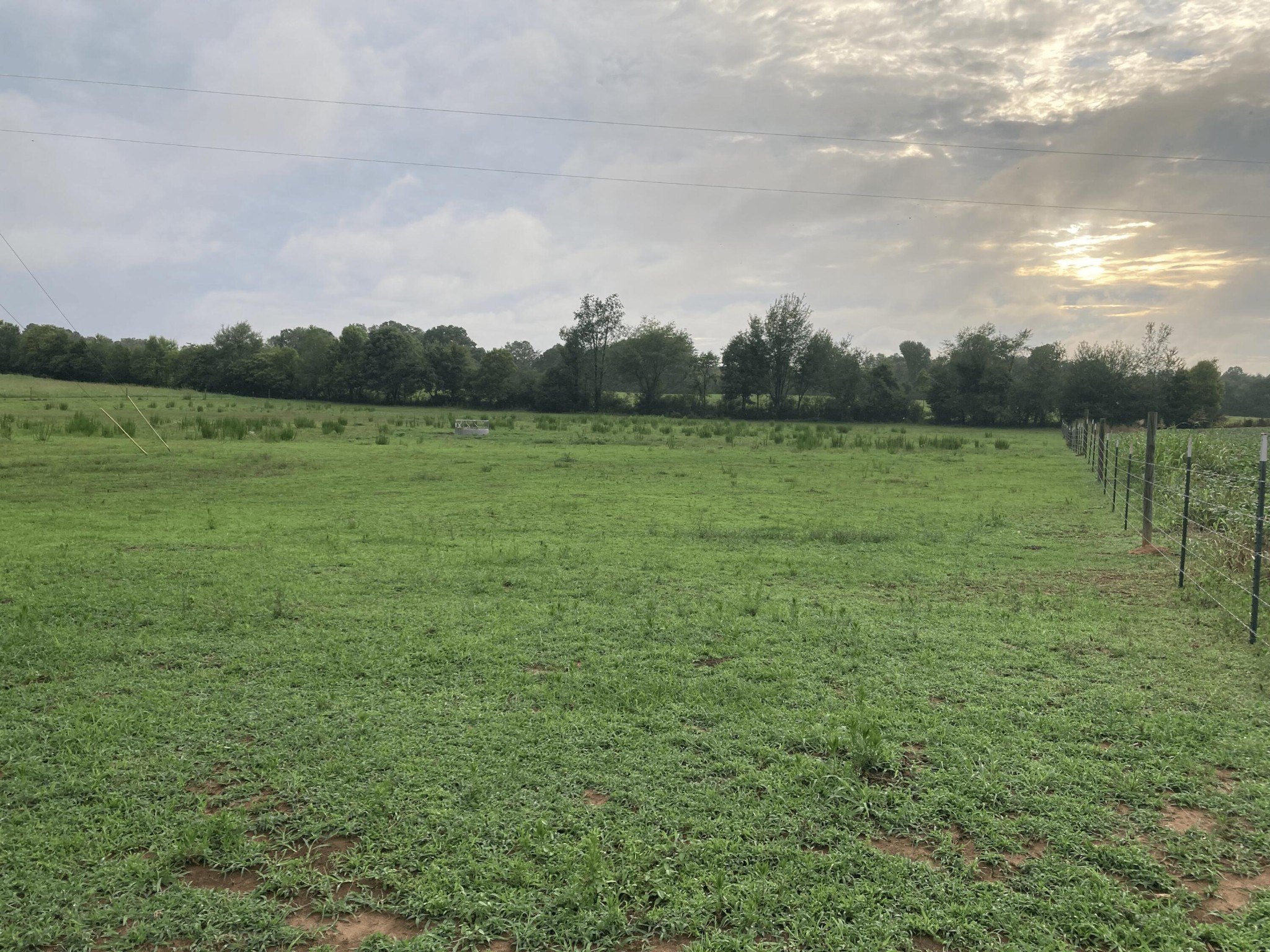 0 Swan Road Old Fort, TN 37362 - Photo 9 of 20