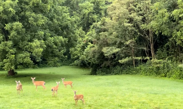 $1,175,000 | 1250 Ed Seay Gregory Lane, Hartsville, TN 37074